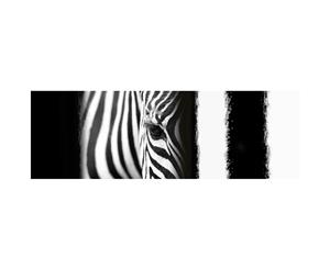Zebra Eye Arty B&W Wall Art Canvas Print