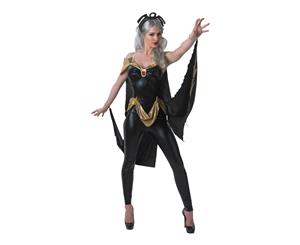 Sexy Storm Womens Adult Costume