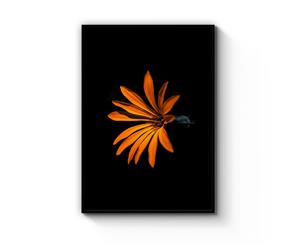 Orange Flower Photograph Art - Black Frame