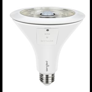 Sengled LED Element Smart Floodlight