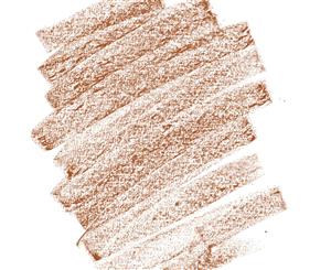 Unison Soft Pastels - Brown Earth 10 - Regular Stick