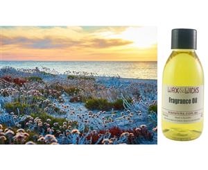 Aquamarine & Oakmoss - Fragrance Oil