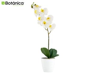 Botanica 58cm Orchid Artificial Plant