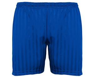 Maddins Kids Unisex Shadow Stripe Sports Shorts (Royal) - RW850