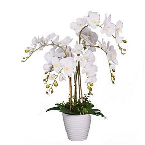 UN-REAL 75cm Artificial White Orchid