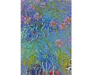 Agapanthus - Monet Canvas Print