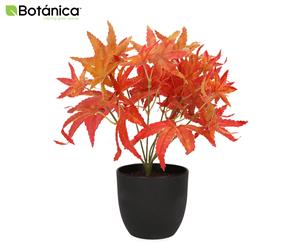 Botanica 24cm Red Maple Artificial Plant