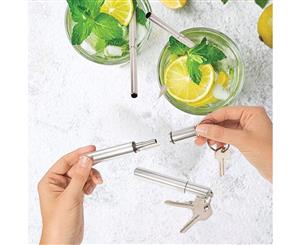 Extendable Straw With Case Keyring & Cleaning Brush