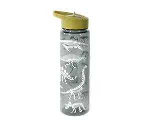 Fun Times Dinosaur Drink Bottle - I.S. Gifts