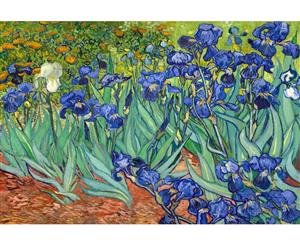 Irises 2 - Van Gogh Canvas Print