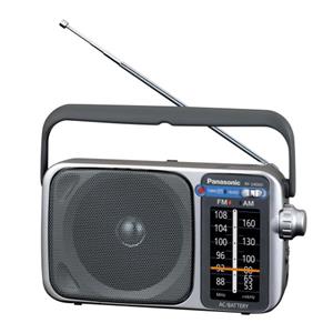 Panasonic - Portable AM/FM Radio - RF-2400DGN-S