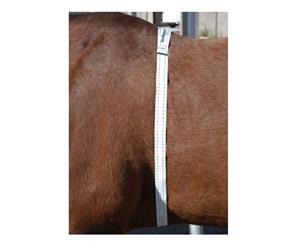 Horse Pony Animal Weight Height Rug Sizing Tape Measure Wormer