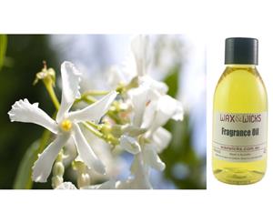 Jasmine & Magnolia - Fragrance Oil