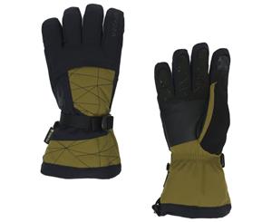 Spyder OVERWEB Gore-Tex PrimaLoft Men's Ski Gloves green - Celtic Green