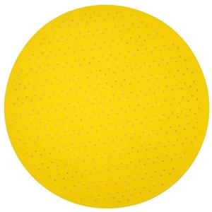 Wallboard 225mm 180-Grit Velcro Plaster Sanding Discs - 5 Piece