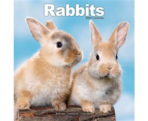 Rabbits 2020 Wall Calendar - Closed Size  30 x 30 cm (12 x 12 Inches)