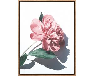 Blushing Bloom canvas art print - 75x100cm - Timber Look Shadow Box Frame