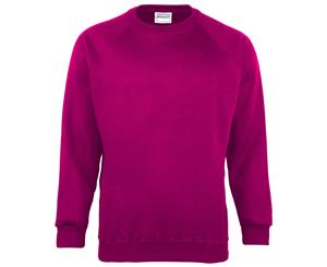 Maddins Kids Unisex Coloursure Crew Neck Sweatshirt / Schoolwear (Pack Of 2) (Raspberry) - RW6862