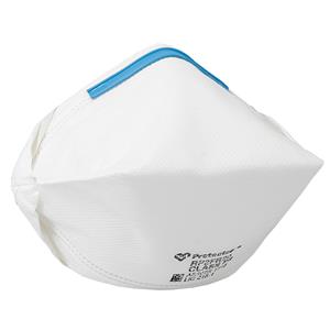 Protector Flat Fold Disposable Respirator - 20 Pack
