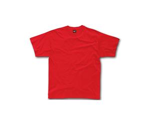 Sg Kids/Childrens Unisex Heavyweight T-Shirt (Red) - BC1064