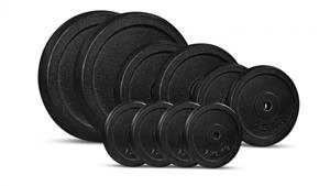 Lifespan Fitness Cortex 40kg Cast Iron Weight Plates Only