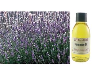 French Lavender - Fragrance Oil