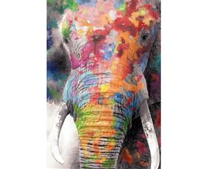 Rainbow Elephant Wall Art Canvas Print