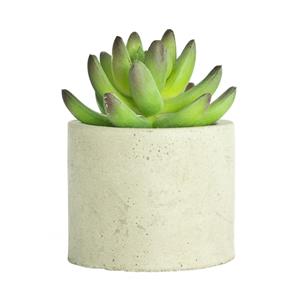 UN-REAL 13cm Artificial Succulent In Concrete Pot