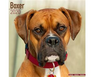 Boxer 2020 Wall Calendar - Closed Size  30 x 30 cm (12 x 12 Inches)