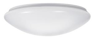 Odeon 1 Light Low Energy Fan Light in White with Opal Diffuser