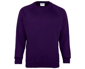 Maddins Kids Unisex Coloursure Crew Neck Sweatshirt / Schoolwear (Pack Of 2) (Purple) - RW6862