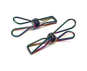 Rainbow Stainless Steel Infinity Clothes Pegs Large Size - 100 Pack