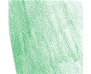 Faber Castell Polychromos Artists Colour Pencil - Permanent Green