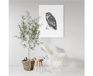 Owl Bird Drawing Wall Art - White Frame