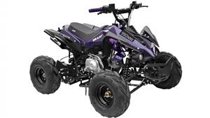 GMX The Beast 110cc Sports Quad Bike - Purple