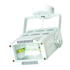 Nelson 70W White Surface Mounted Metal Halide Shop Light