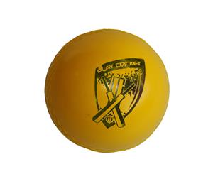 Gray Nicolls Poly Soft Ball - Yellow