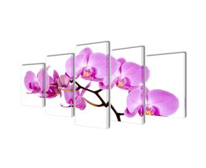 Set of 5 Orchid Canvas Print Framed Wall Art Decor Painting 100x50cm Living Room