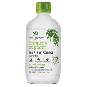 Wellgrove Immune Support Olive Leaf Extract Natural 500ml