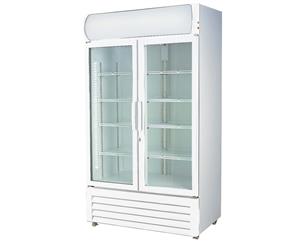 Double glass Door colourbond upright drink fridge