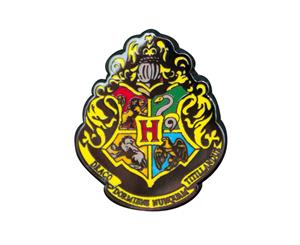 Harry Potter Hogwarts Lapel Pin