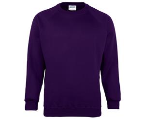 Maddins Kids Unisex Coloursure Crew Neck Sweatshirt / Schoolwear (Purple) - RW841