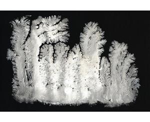 Frost Bite Inverted Canvas Print