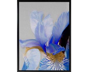 Dutch Blue Iris canvas art print - 75x100cm - Black