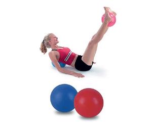 Procare Stability Ball