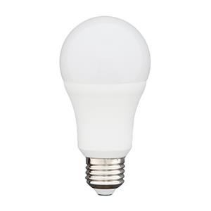Click 10W 806lm LED A Shape Globe Warm White