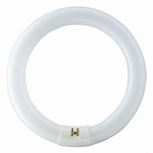 Philips 22W Cool White Circular Fluorescent Tube