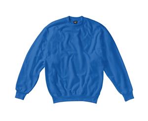 Sg Kids/Childrens Crew Neck Sweatshirt Top (Royal) - BC1068