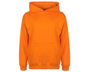 Fdm Kids/Childrens Unisex Hooded Sweatshirt / Hoodie (300 Gsm) (Sport Grey) - BC2027