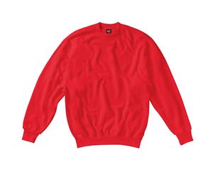 Sg Kids/Childrens Crew Neck Sweatshirt Top (Red) - BC1068